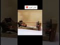 الفأر اتفرم