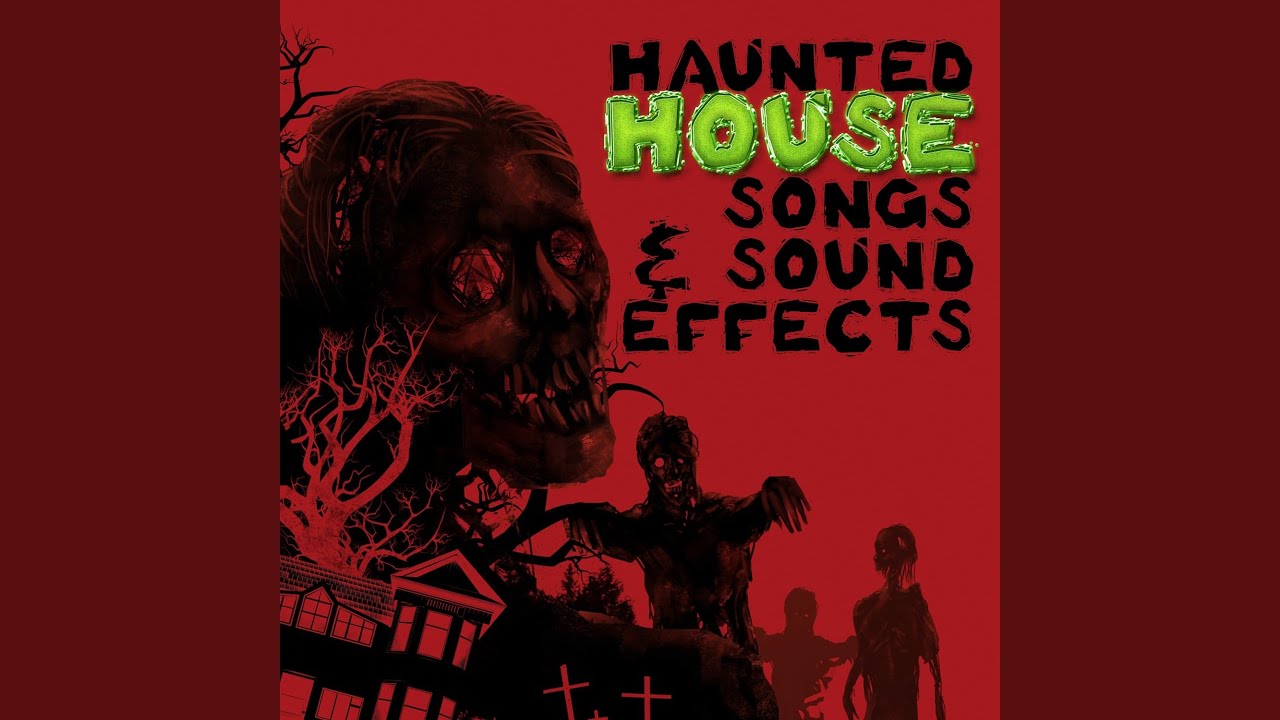 Vampire Bats Chittering YouTube