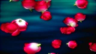 Flower Falling  in Coller Background , 4K, Full hd 1080
