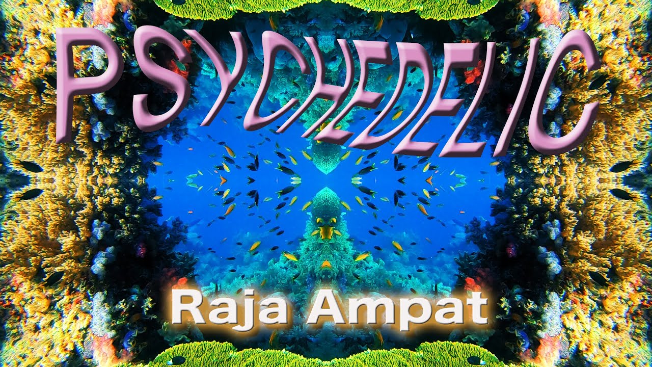Scuba diving experience with a difference in Raja Ampat.