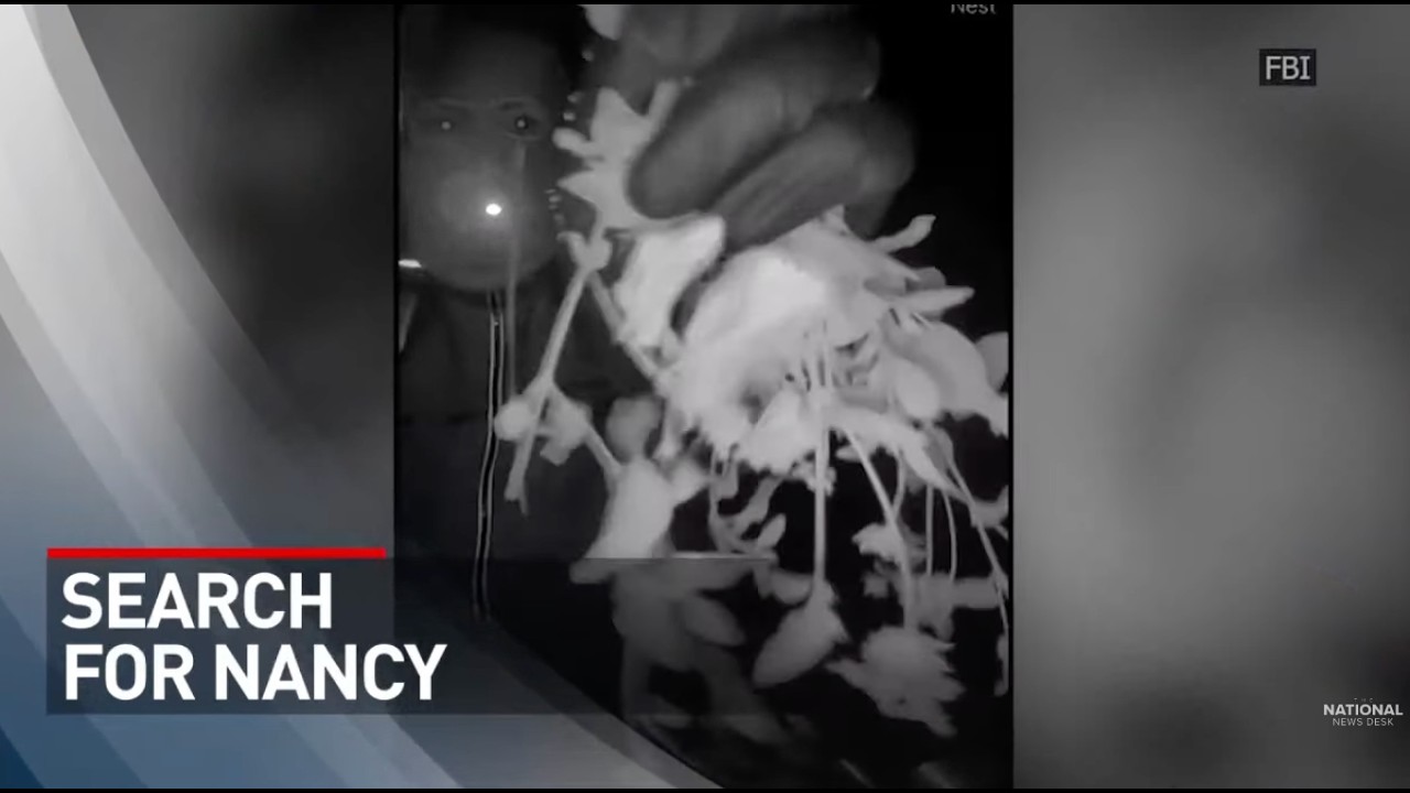 SEARCH FOR NANCY: Investigators pour over new evidence as Nancy Guthrie’s disappearance hits day 13