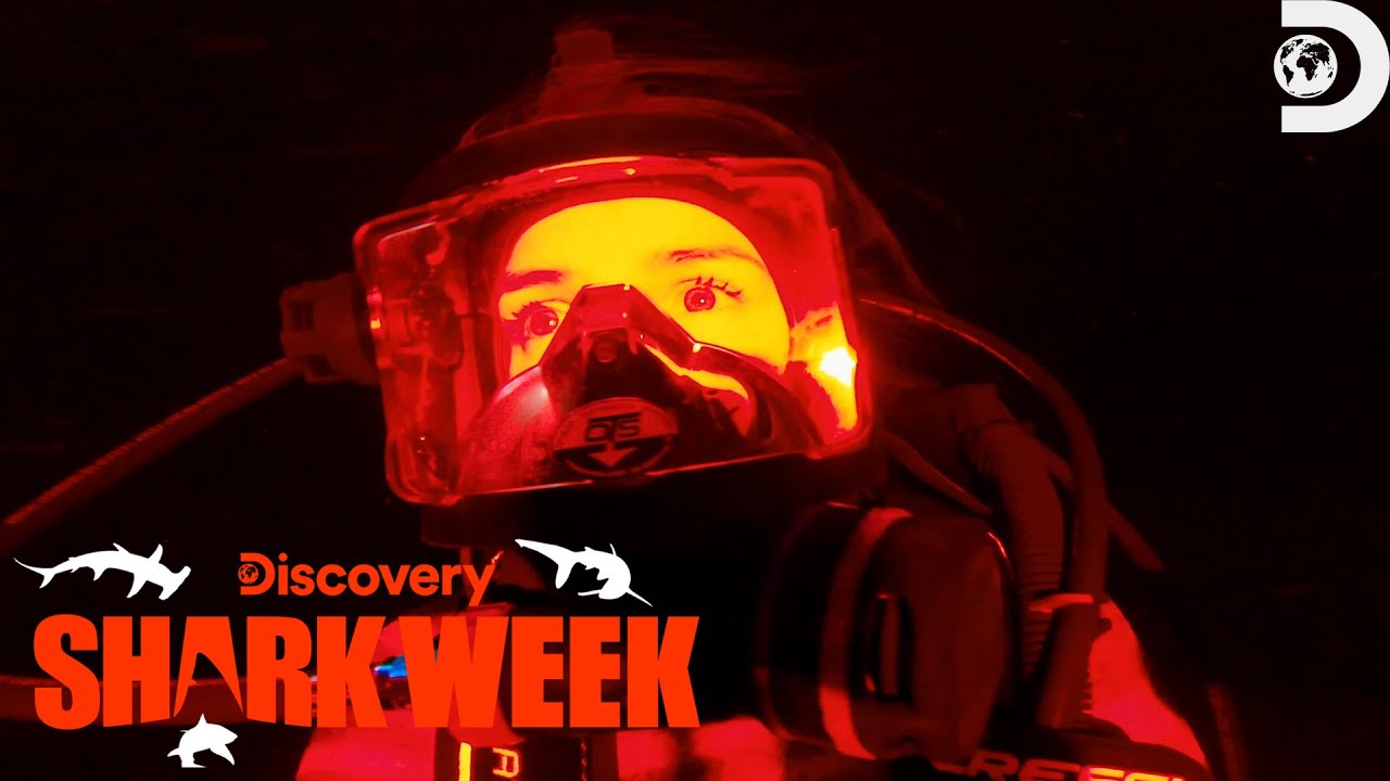 Documentary backdrop image for Andy and Kori Swim With Great Whites Beneath a Haunted Tower! (2023)