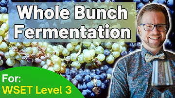 Whole Bunch Fermentation for WSET Level 3