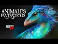 ANIMALES FANTÁSTICOS 1 Y 2 | LA HISTORIA EN UN VIDEO