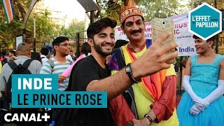 Inde : Le Prince Rose -  L’Effet Papillon – CANAL+