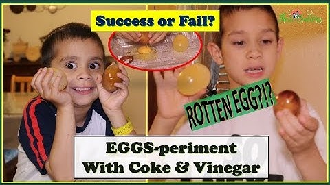 Eggs-periment with Coke & Vinegar | TheSciBuddies