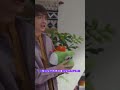 ジワる岸優太 #キンプリ