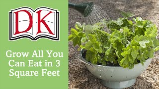 Grow All You Can Eat In 3 Square Feet Crops For Small Spaces