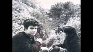 flying saucer attack  -  Last Dream Song