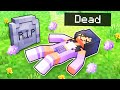 Aphmau Is DEAD In Minecraft!