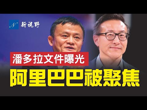 潘多拉文件，美国中情局搞鬼？为何不见美国富豪？阿里巴巴上市操盘手蔡崇信，究竟做了啥？香港特首董建华和梁振英，做实财富大挪移。普京、布莱尔上榜。