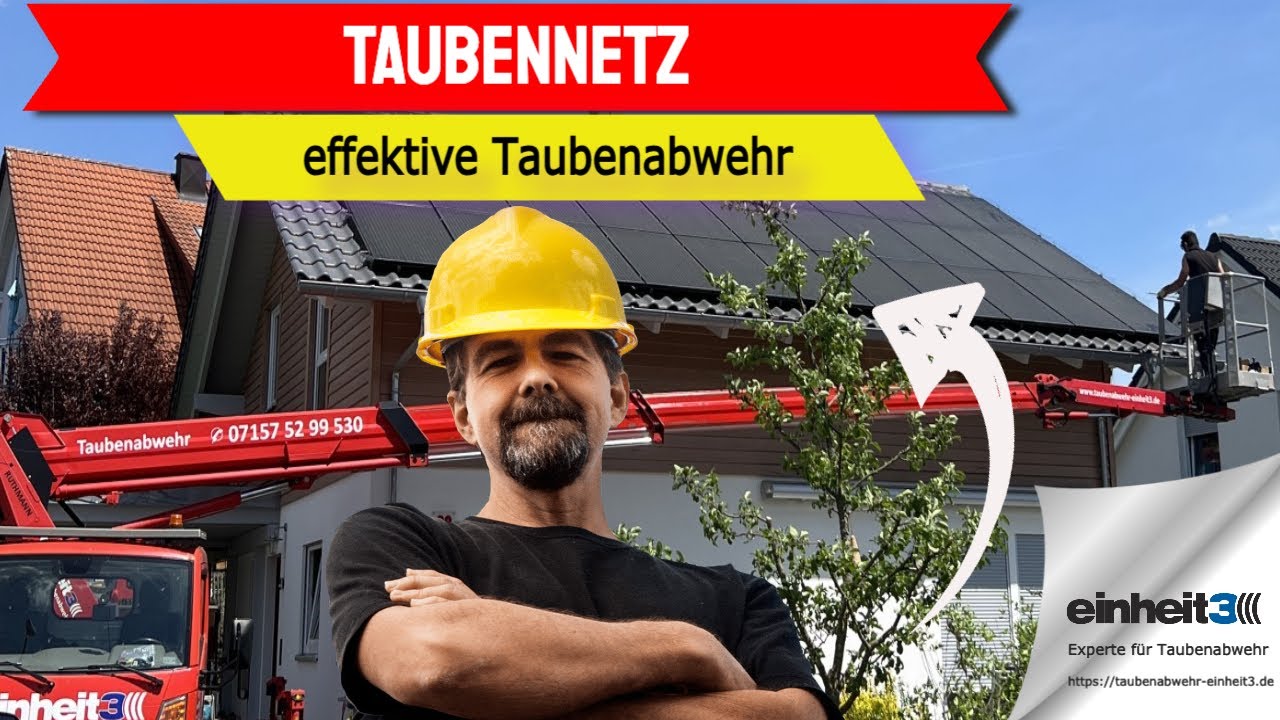 Taubennetz - Taubennetz Befestigung und Montage einheit3 GmbH