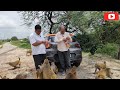 Day 1️⃣1️⃣8️⃣ ganpati Farm house) वालो के साथ मिलकर बंदरों की सेवा ll Today monkey feeding bread ll 