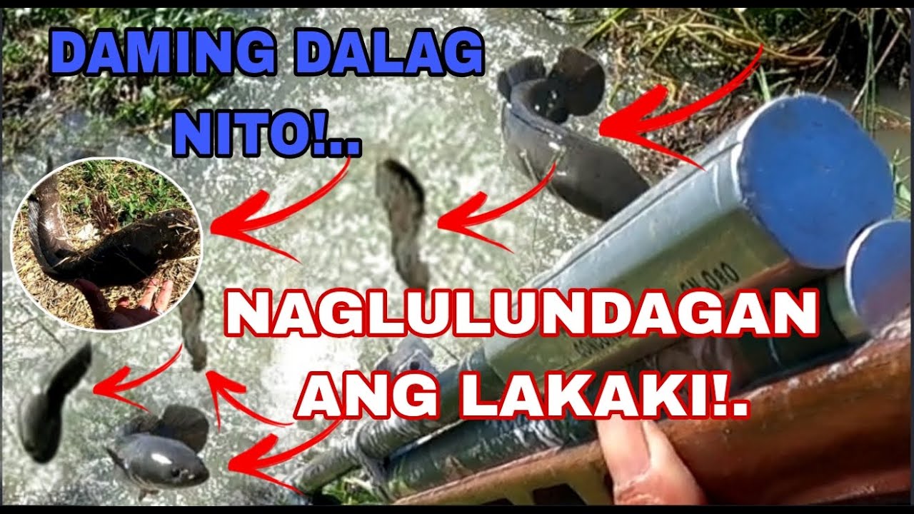 ANG DAMING DALAG (SNAKE HEAD) NAGLULUNDAGAN  SA GILID  /Airgun Fishing /Fishgunerong Madiskarte