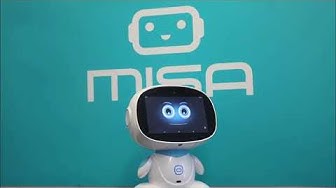 Misa Robot 