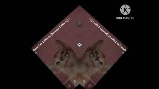 Preview 2 Numa Cat 3 Center Effects