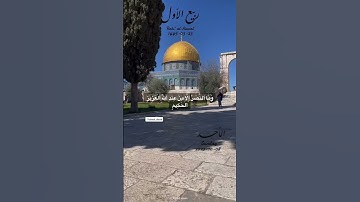 #quran #2023 #quran #القرآن_الكريم #القارئ #surah #ربيع_الأول #النصر #الاقصى #palestine
