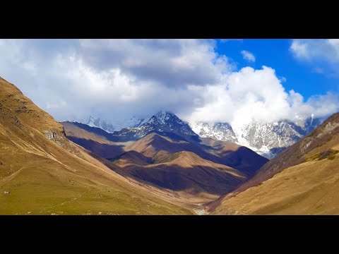 \"თევდორე\