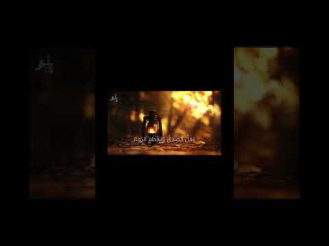 تغيرت المودة والإخاء وقل الصدق وانقطع الرجاء علي بن ابي طالب رضي الله عنه