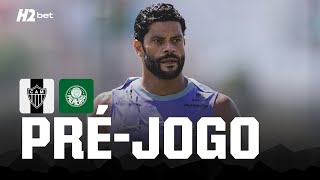 Galo X Palmeiras A Preparação Para A Estreia Campeonato Brasileiro