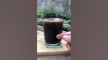 Thumbnail of This is the right way to brew coffee! Make your coffee taste 10x better! #tanduria #gardening #ga...