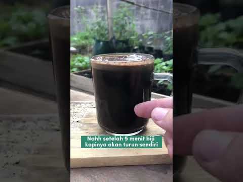 Video: Pembuat Kopi Terbaik Untuk Memperbaiki Kafein Rumah Anda