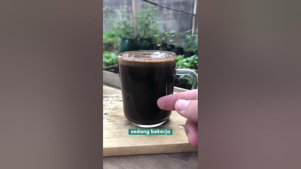 Ini cara nyeduh kopi yang benar! Bikin rasa kopi 10x lebih nikmat! #tanduria #gardening #berkebun