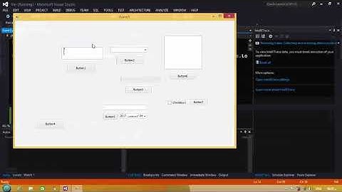 Add Items To ComboBox In Form Load Event