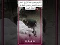 الفيديو المنتشر للبلوجر هدير عبدالرازق الفيديو المنتشر للبلوجر هدير عبدالرازق