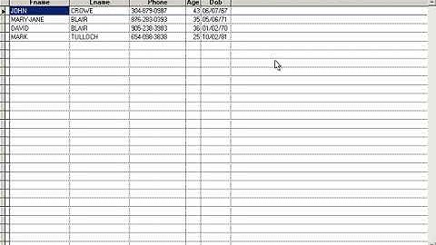 Learn Visual FoxPro @ garfieldhudson.com - Basic Reporting - Pt. 1 (Lesson 21 of 30)