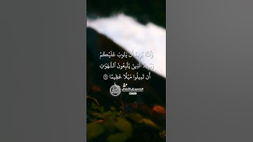 ماهر المعيقلي - سورة النساء ( برواية حفص عن عاصم ) الأية 27