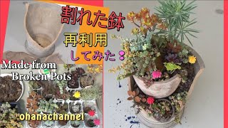 【多肉植物】割れた鉢をリサイクル