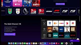 Create a professional iptv website with wordpress 2025