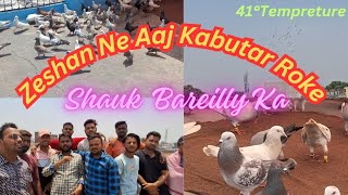 Kabutar Bazi Ka Shauk Bareilly Me Khatam || A S Pet world ||