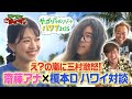 「え?の嵐に三村激怒!齋藤アナ×榎本Dハワイ対談」モヤさまinハワイ2025【オフショット#1】|DMM TVで独占見放題配信中!