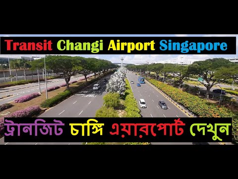 Transit Changi Airport Singapore | Transferring Terminal 4 To Terminal 2 Traveling By Skytrain