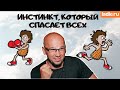 Какой инстинкт спасает нам жизнь? Что помогает выжить в опасности? Биология. Реакция Бей или беги