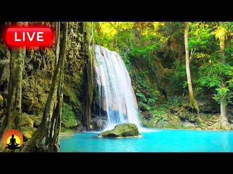 🔴 Relaxing Piano Music 24/7, Sleep Music, Study Music, Mediation Music, Relaxing Music