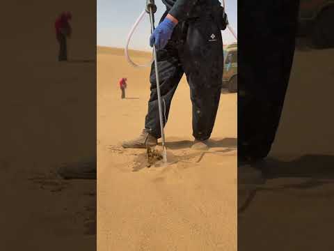 Daily Life of Desert Tree Plantation 🌵 | Jillani Nursery Farm | Desert Control Workers Hard Work 💪