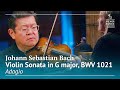 Johann Sebastian Bach Violin Sonata In G Major BWV 1021 Adagio mp3
