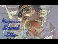 Nazanin Slowed And Reverbed Persian Music Slowedandreverb 