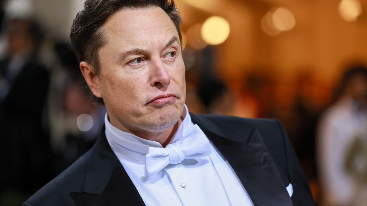 Clarity AI CEO talks Elon Musk and the need for better understanding of
