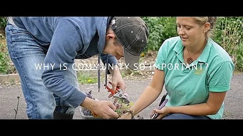 Why is community so important?