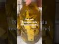 Second ferment for homemade pineapple soda (tepache) 😬 #recipe #homesteading #diy