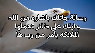 رسالة من رب العرش العظيم مكتبلك تحملها الملائكه طائر ابيض لك باشاره