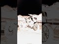 ktm Duke 390#viral short video☠️💀🔥