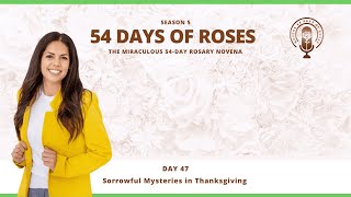 Day 47: Sorrowful Mysteries in Thanksgiving