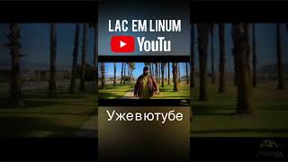 Lac Em Linum #Shorts Edgar Gevorgyan