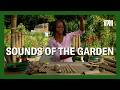نصائح حول أصوات الحدائق