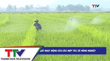 Nâng cao hiệu quả hoạt động của các HTX nông nghiệp